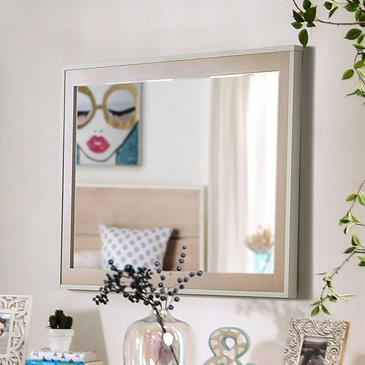 Roseburg Mirror - U&U Home Budget Furniture (Carteret, NJ)