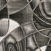 SIVAS 8' X 10' Area Rug - U&U Home Budget Furniture (Carteret, NJ)